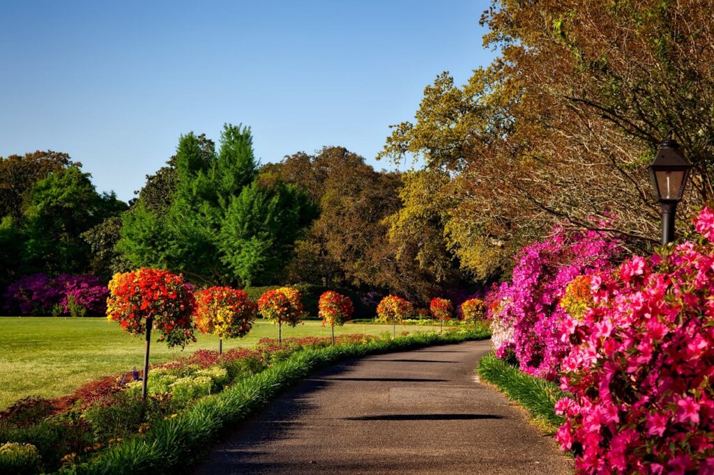 bellingrath-gardens-alabama-landscape-scenic-158028 A scenic outdoor garden with vibrant floral displays, perfect for backgrounds or wallpapers.