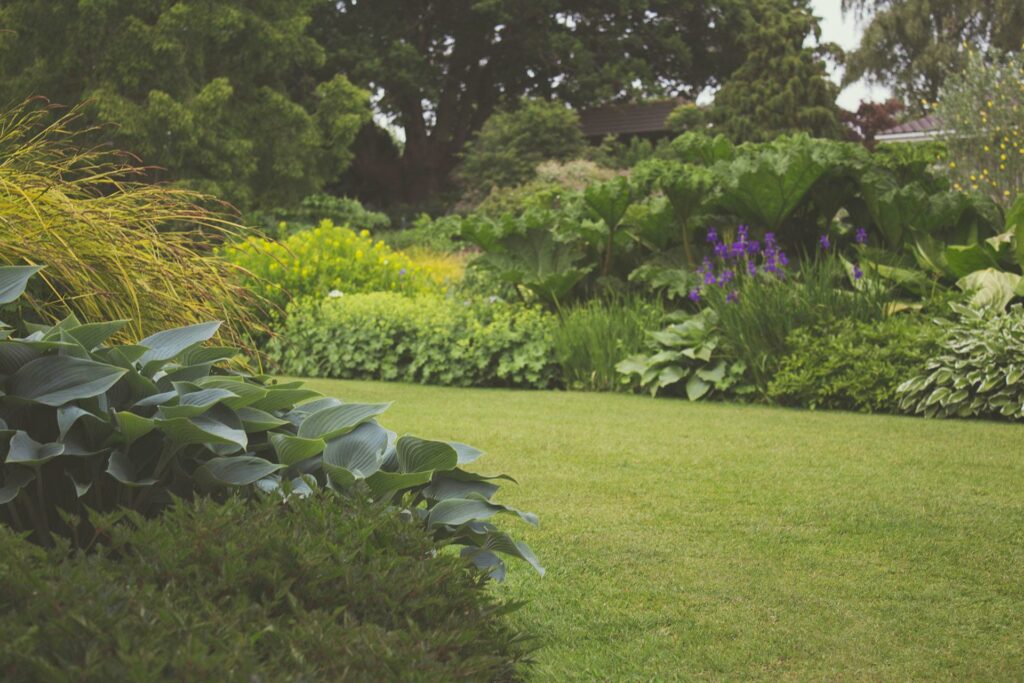 garden-7283 A lush backyard garden with vibrant plants and manicured lawn, ideal for a relaxing outdoor space.